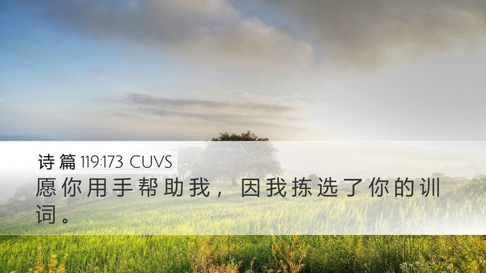 诗 篇 119:173 CUVS Bible Verse Image