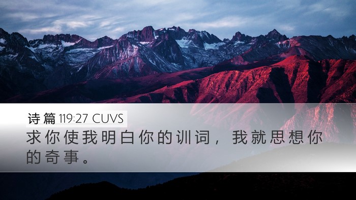诗 篇 119:27 CUVS Bible Verse Image