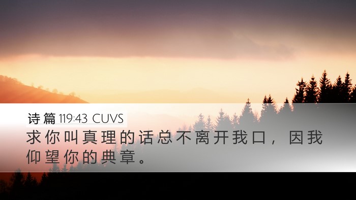 诗 篇 119:43 CUVS Bible Verse Image