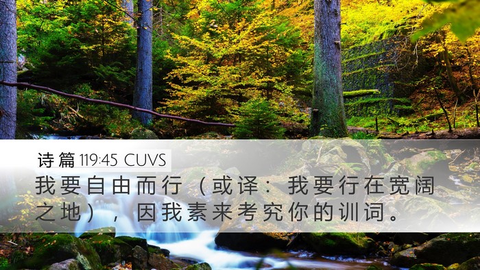 诗 篇 119:45 CUVS Desktop Wallpaper - 我 要 自 由 而 行 （ 或 译 ： 我 要 - Desktop Bible Verse Wallpaper