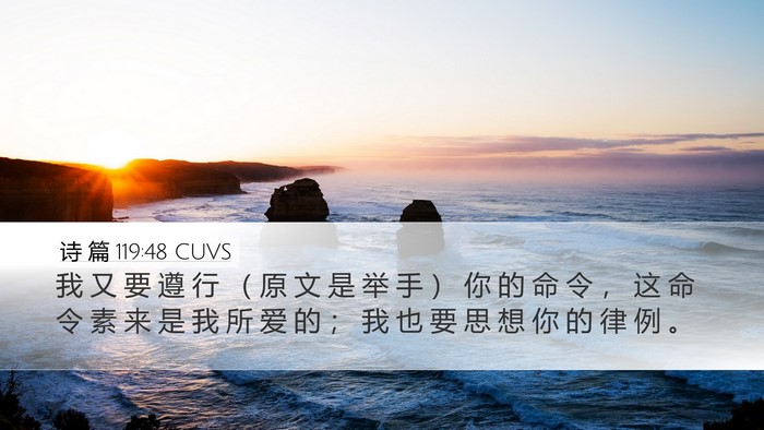 诗 篇 119:48 CUVS Bible Verse Image