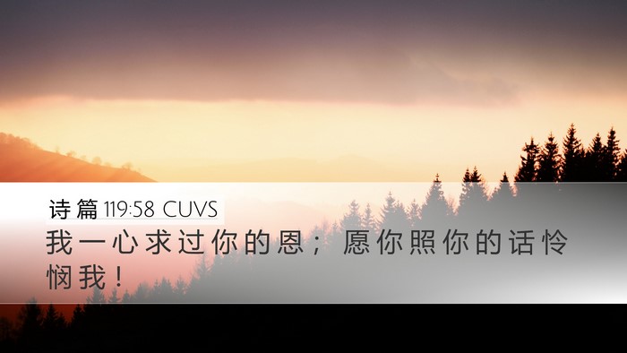 诗 篇 119:58 CUVS Bible Verse Image