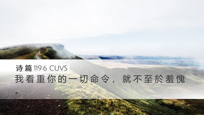 诗 篇 119:6 CUVS Bible Verse Image