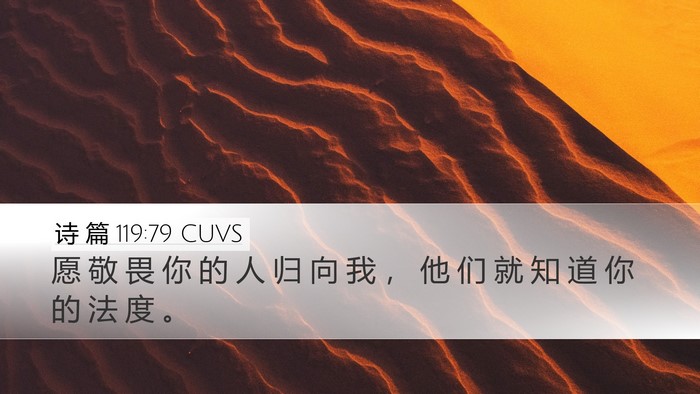 诗 篇 119:79 CUVS Bible Verse Image