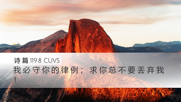 诗 篇 119:8 CUVS Bible Verse Image