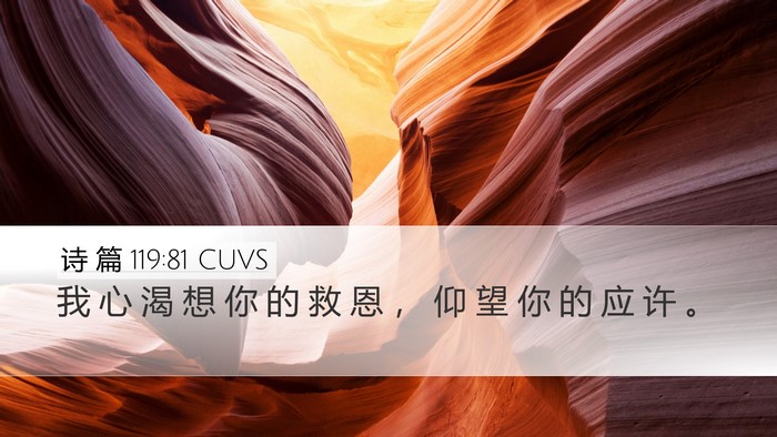 诗 篇 119:81 CUVS Bible Verse Image