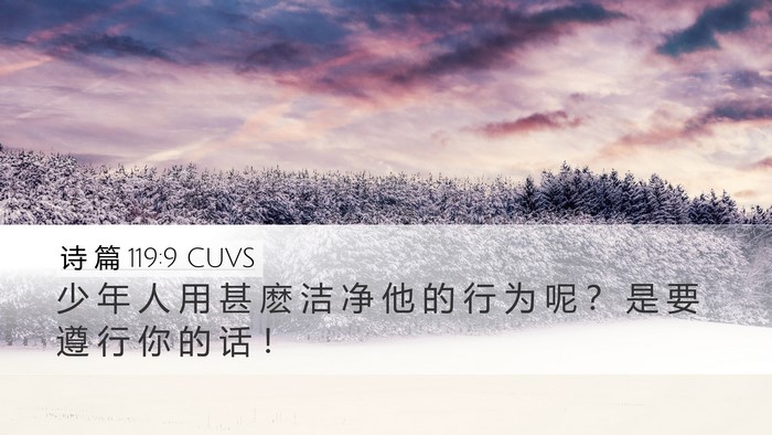 诗 篇 119:9 CUVS Bible Verse Image