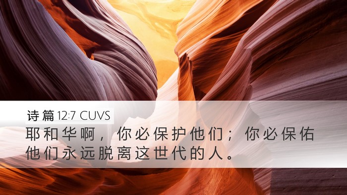 诗 篇 12:7 CUVS Bible Verse Image