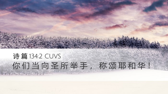 诗 篇 134:2 CUVS Bible Verse Image