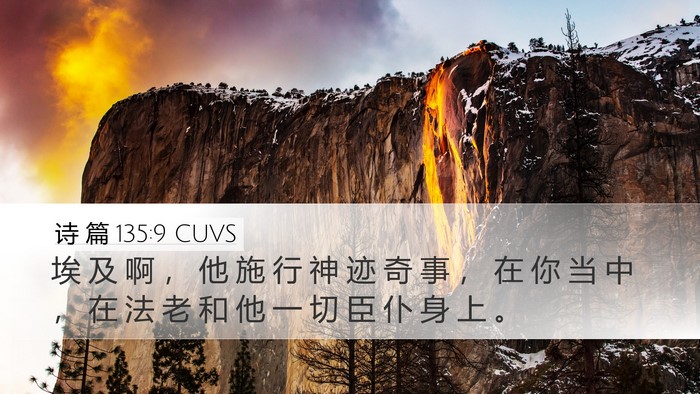 诗 篇 135:9 CUVS Desktop Wallpaper - 埃 及 啊 ， 他 施 行 神 迹 奇 事 ， - Desktop Bible Verse Wallpaper
