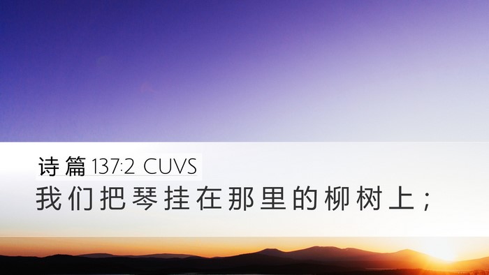 诗 篇 137:2 CUVS Desktop Wallpaper - 我 们 把 琴 挂 在 那 里 的 柳 树 上 - Desktop Bible Verse Wallpaper