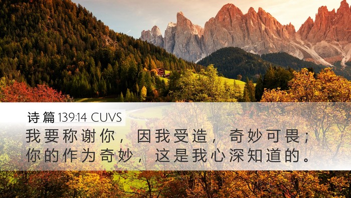 诗 篇 139:14 CUVS Bible Verse Image