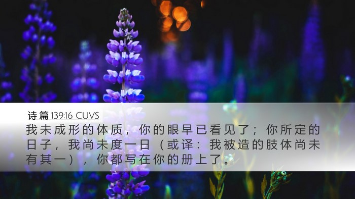 诗 篇 139:16 CUVS Bible Verse Image