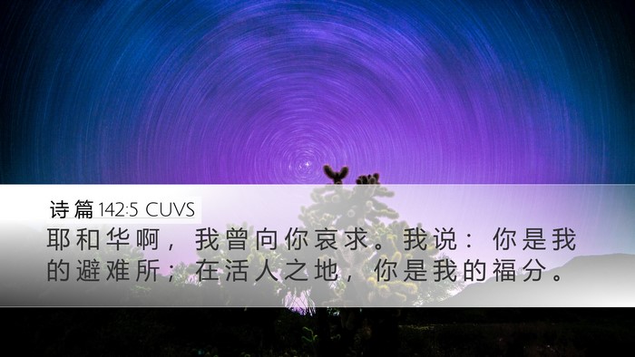 诗 篇 142:5 CUVS Bible Verse Image