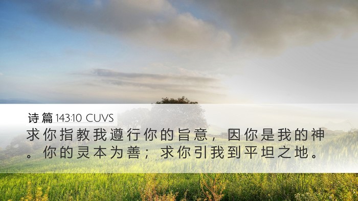 诗 篇 143:10 CUVS Bible Verse Image
