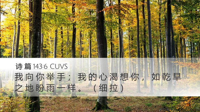 诗 篇 143:6 CUVS Desktop Wallpaper - 我 向 你 举 手 ； 我 的 心 渴 想 你 - Desktop Bible Verse Wallpaper