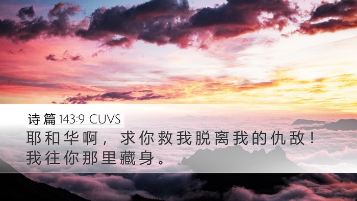 诗 篇 143:9 CUVS Bible Verse Image