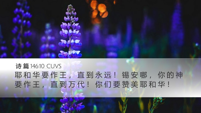 诗 篇 146:10 CUVS Desktop Wallpaper - 耶 和 华 要 作 王 ， 直 到 永 远 ！ - Desktop Bible Verse Wallpaper