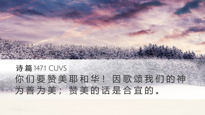 诗 篇 147:1 CUVS Bible Verse Image