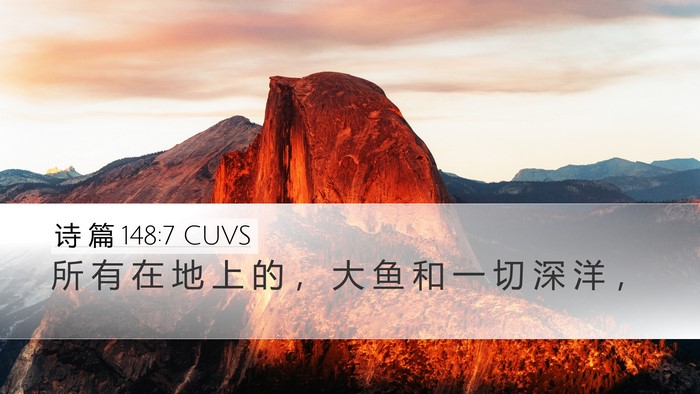 诗 篇 148:7 CUVS Desktop Wallpaper - 所 有 在 地 上 的 ， 大 鱼 和 一 切 - Desktop Bible Verse Wallpaper