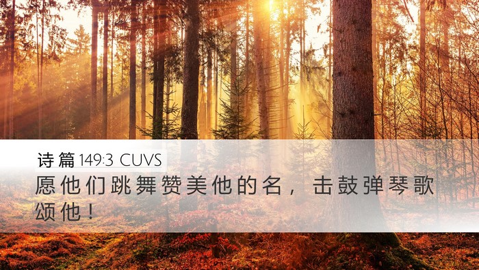 诗 篇 149:3 CUVS Bible Verse Image