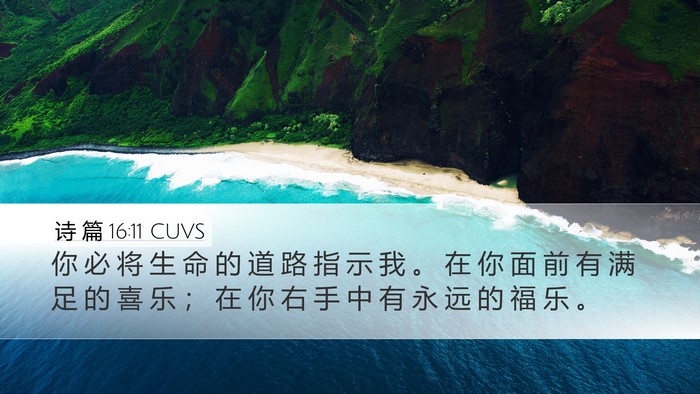 诗 篇 16:11 CUVS Bible Verse Image