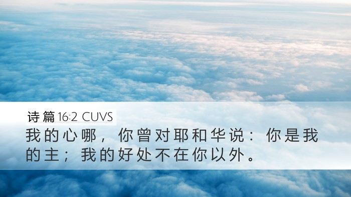 诗 篇 16:2 CUVS Bible Verse Image