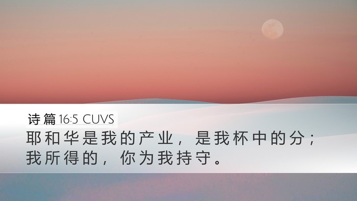 诗 篇 16:5 CUVS Bible Verse Image