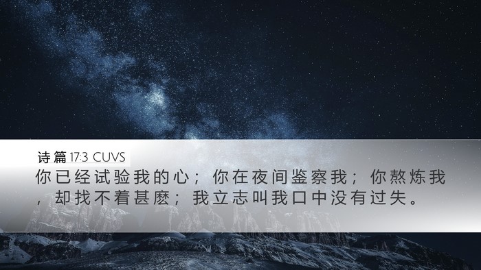 诗 篇 17:3 CUVS Bible Verse Image