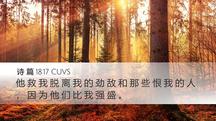诗 篇 18:17 CUVS Desktop Wallpaper - 他 救 我 脱 离 我 的 劲 敌 和 那 些 - Desktop Bible Verse Wallpaper