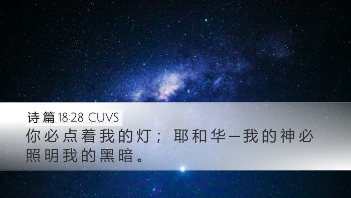诗 篇 18:28 CUVS Bible Verse Image