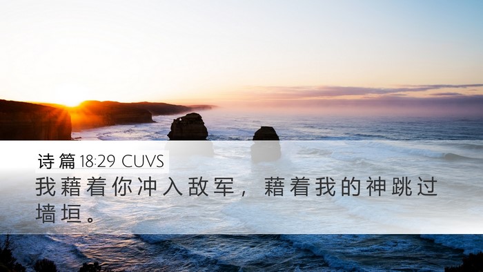 诗 篇 18:29 CUVS Bible Verse Image