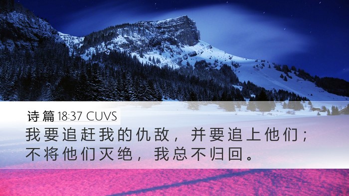 诗 篇 18:37 CUVS Bible Verse Image