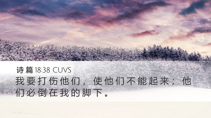 诗 篇 18:38 CUVS Bible Verse Image