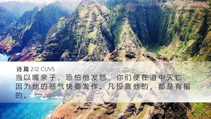 诗 篇 2:12 CUVS Bible Verse Image