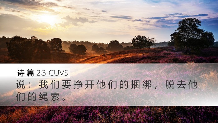 诗 篇 2:3 CUVS Desktop Wallpaper - 说 ： 我 们 要 挣 开 他 们 的 捆 绑 - Desktop Bible Verse Wallpaper