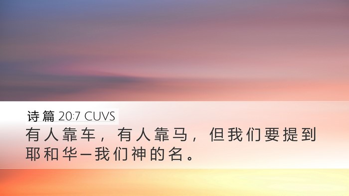 诗 篇 20:7 CUVS Bible Verse Image