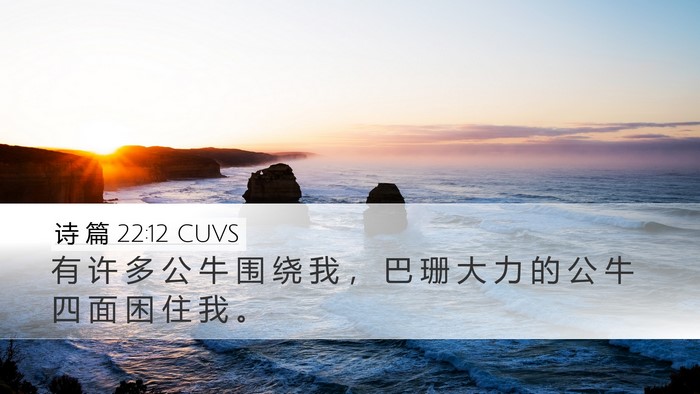 诗 篇 22:12 CUVS Bible Verse Image