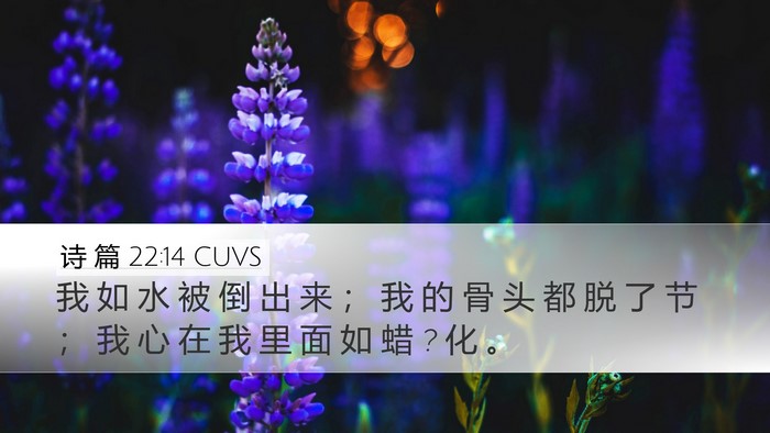 诗 篇 22:14 CUVS Bible Verse Image