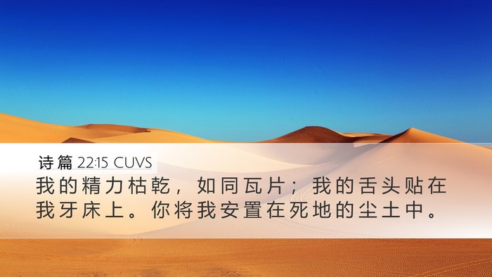 诗 篇 22:15 CUVS Bible Verse Image