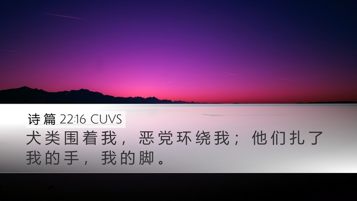 诗 篇 22:16 CUVS Bible Verse Image