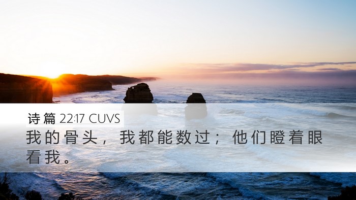 诗 篇 22:17 CUVS Bible Verse Image