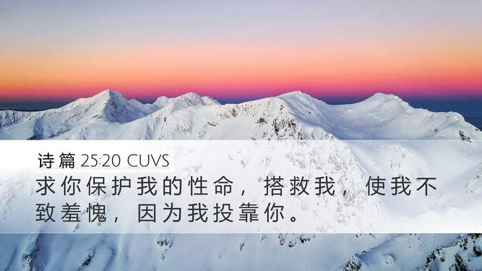 诗 篇 25:20 CUVS Bible Verse Image