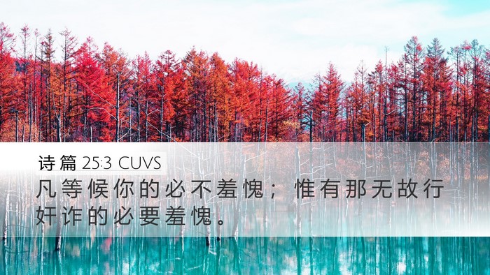诗 篇 25:3 CUVS Bible Verse Image