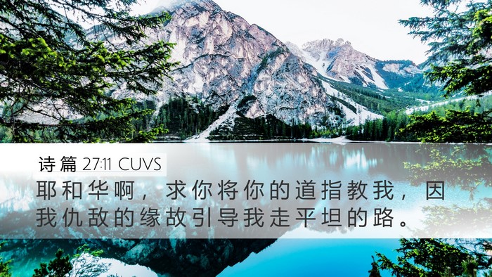诗 篇 27:11 CUVS Bible Verse Image