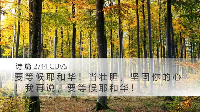 诗 篇 27:14 CUVS Bible Verse Image