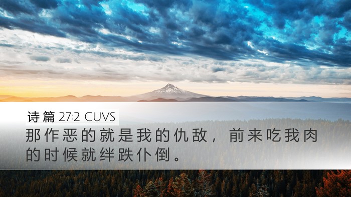 诗 篇 27:2 CUVS Bible Verse Image