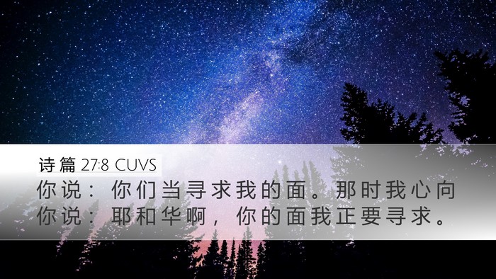 诗 篇 27:8 CUVS Desktop Wallpaper - 你 说 ： 你 们 当 寻 求 我 的 面 。 - Desktop Bible Verse Wallpaper