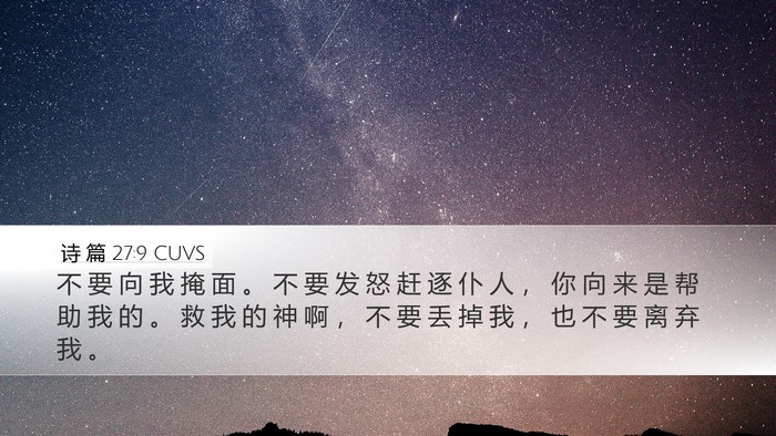 诗 篇 27:9 CUVS Bible Verse Image