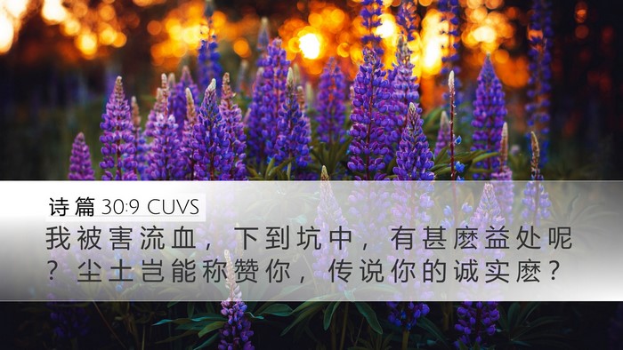 诗 篇 30:9 CUVS Bible Verse Image